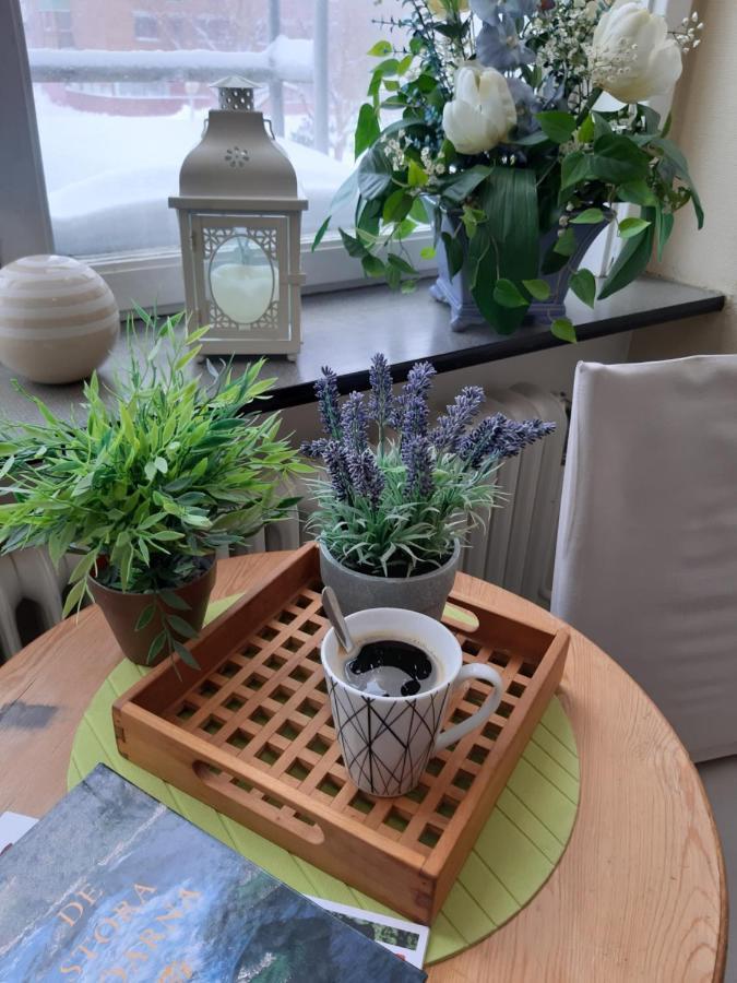 Pitea Vandrarhem Екстериор снимка
